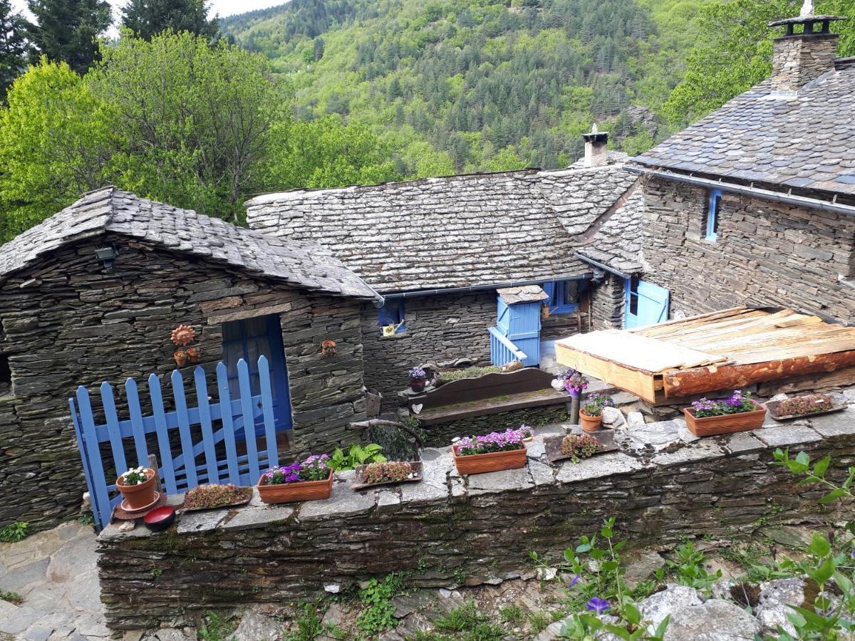 Lou Cabanis Villa Saint-Germain-de-Calberte Екстериор снимка
